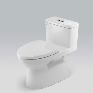 Anh that bon cau Inax AC-969VN