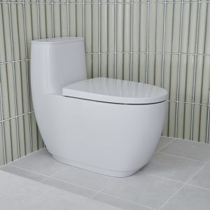 Bon cau Inax AC 1052VN 2