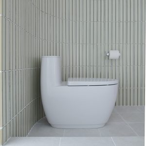 Bon cau Inax AC 1052VN 3