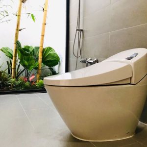 Bồn cầu Inax ac 2700vn