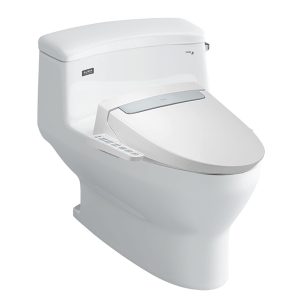 Bon cau nap rua dien tu Inax AC-4005+CW-H20VN