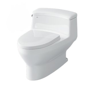 Bồn cầu inax AC4005vn