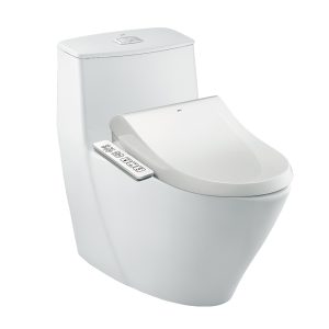 Bon cau nap rua dien tu Inax AC-919R+CW-H17VN