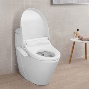 Nap rua dien tu Inax CW-H18VN