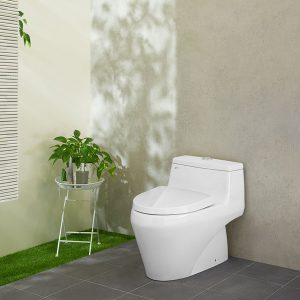 Phong mau bon cau Inax AC-1035VN