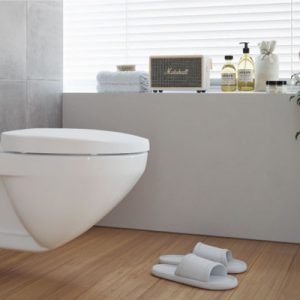 phong mau bon cau Inax Ac 23PVN