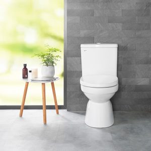 Phong mau Bon cau Inax AC-514VWN