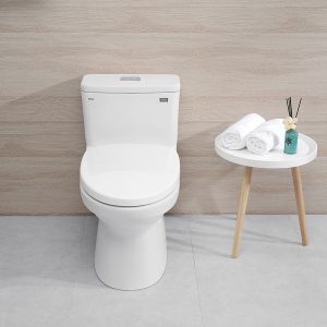 Phong mau bon cau inax AC 969