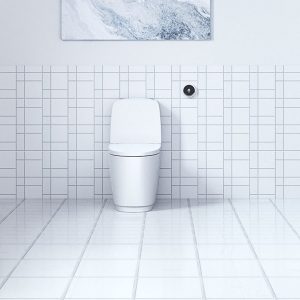 Phong mau Bon cau Inax ACT 832VN 2