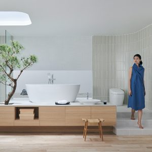 Phong mau Bon tam Inax BF-1760V anh 3